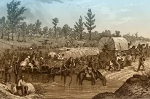 Scorched: Sherman's March to the Sea, 1864