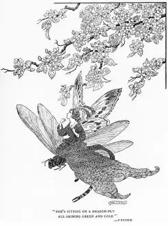 Fyleman: She's sitting on a dragonfly