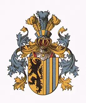 Griffin: Shield with Griffin