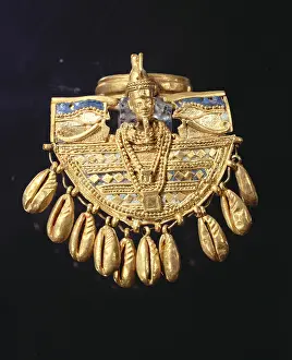 Clam: Shield ring