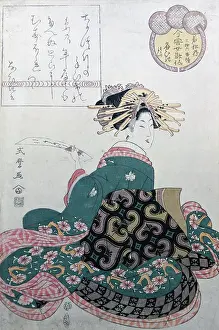 Surimono: Shikimaro graphics