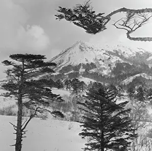 Sakhalin: Shikotan Island, 1973
