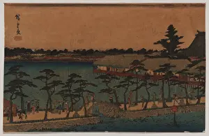 Stilts: Shinobazu pond