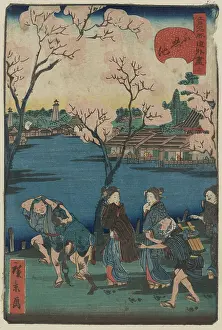 Shinobazu: Shinobazu pond