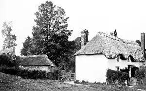 Shiphay: Shiphay near Torquay