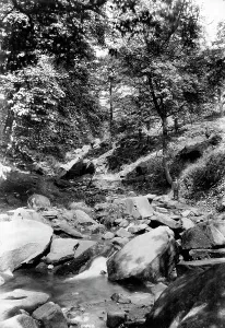 Shipley: Shipley, Glen 1909