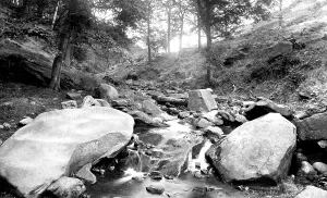 Shipley: Shipley, the Glen 1921
