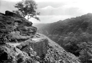 Shipley: Shipley, the Glen 1922