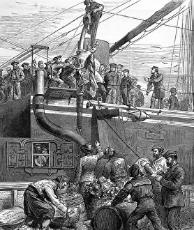 Marmora: Shipping Beef on Board HMS Alexandra, 1878