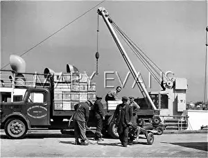 Orkneys: SHIPPING EGGS