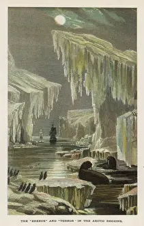 Franklins: SHIPS AMONG ICEBERGS