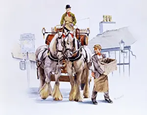 Dary: Shire horse drawn dray