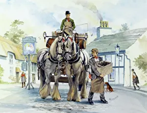 Dary: Shire horse drawn dray