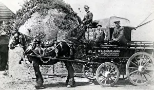 Contractors: Shire Horse pulling Cartage Contractors Wagon