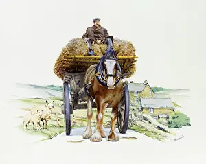 Brasses: Shire horse pulling a hay wagon