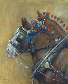 Manes: Shires in Harness ' two shire horses