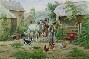Churns: Three Shires being led out of a farmyard