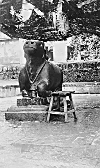 Demons: Shiva's bull Nandi