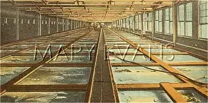 Endicott: SHOE FACTORY INTERIOR