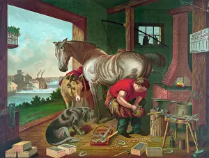 Shoeing: Shoeing the horse