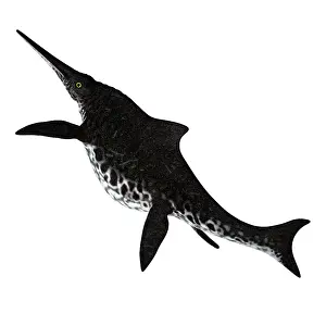 Ugliness: Shonisaurus aquatic reptile, white background