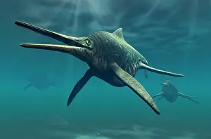 Ichthyosaur: Shonisaurus was a genus of ichthyosaur from the Triassic ?