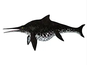 Ugliness: Shonisaurus ichthyosaur, side profile