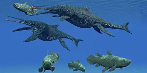 Ichthyosaur: A Shonisaurus Ichthyosaur stabs a Coelacanth fish in ?