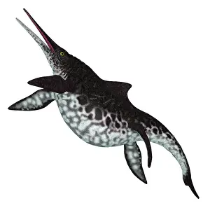 Ugliness: Shonisaurus ichthyosaur, side view on white background