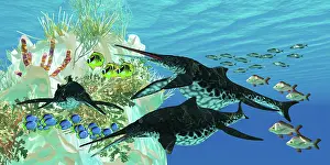 Variation: Shonisaurus Ichthyosaurs swim amongst fish surrounding