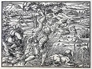 Wildfowl: SHOOTING BIRDS-16C