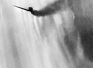 Spitfire: Shooting down of a British fighter plane, 1940
