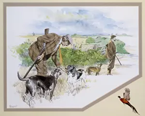 Shotguns: Shooting with gun dogs