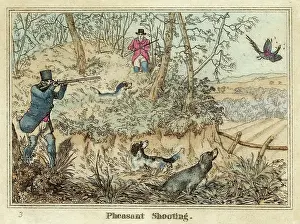 Alken: Shooting Pheasant - Alken