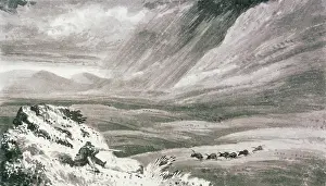 Wildebeest: Shooting Wildebeest, 1836-1839