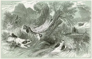 Getaway: SHOOTING WOODCOCK