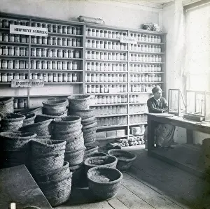 Baskets: Shop interior, Egypt