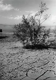 Overlooks: The shore of the Dead Sea