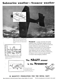 Seamew: Short Seamew