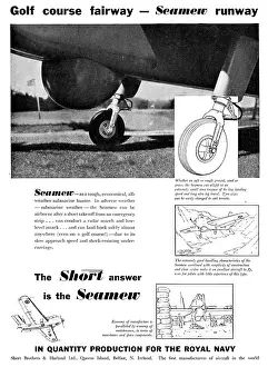 Seamew: Short Seamew
