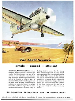 Seamew: Short Seamew