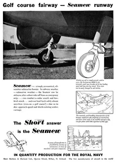 Seamew: Short Seamew