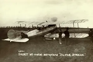 Streak: Short Silver Streak