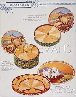 Shortbread: SHORTBREAD BISCUIT