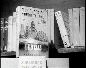 Bookshelf: Shot of a Bookshelf Showing The Shape of Things