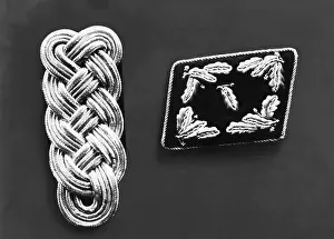 Oberland: Shoulder mark and collar patch of a Forstmeister (master