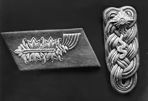 Veterinary: Shoulder mark and collar patch of a veterinary surgeon
