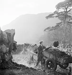 Manure: Shovelling Manure