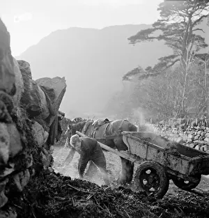 Manure: Shovelling Manure