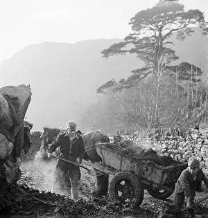 Manure: Shovelling Manure